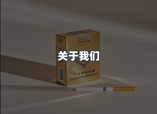 专业团队
